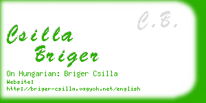 csilla briger business card